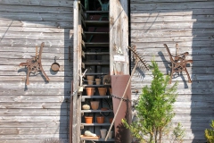 IMG-20190818-WA0022