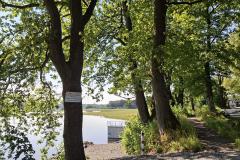 20260628-01a-Dreifelder-Weiher-9