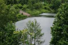 06-DkKraeuter-Bilder Tourbericht: Twistetalsperre
