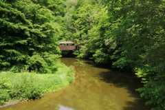 26-DkKraeuter-Bilder Hochladen(1)