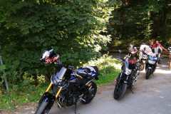 27-MsKraeuter-Bilder Hochladen(1)