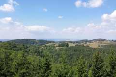 27-MsKraeuter-Bilder Hochladen(2)