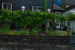 IMG-20240616-WA0000